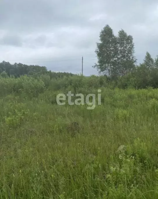 Участок в Хабаровский край, Хабаровский район, с. Восточное  (10.1 ... - Фото 2