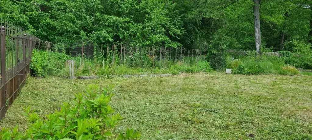 Участок в Калининградская область, Калининград Калачево СНТ, проезд ... - Фото 2