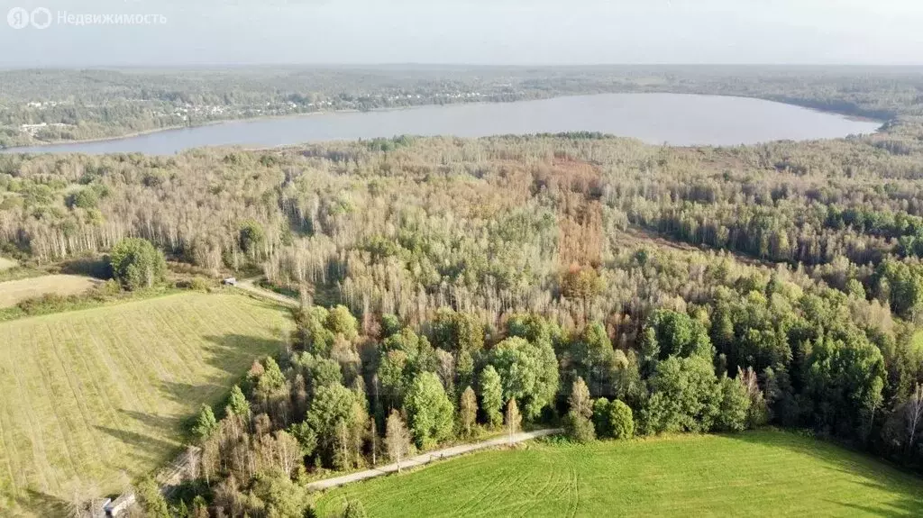 Участок в Выборгский район, посёлок Поляны (8 м) - Фото 0