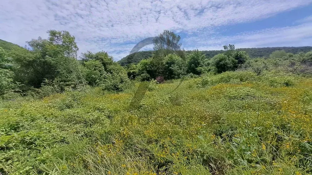 Участок в Краснодарский край, Туапсинский муниципальный округ, с. ... - Фото 0
