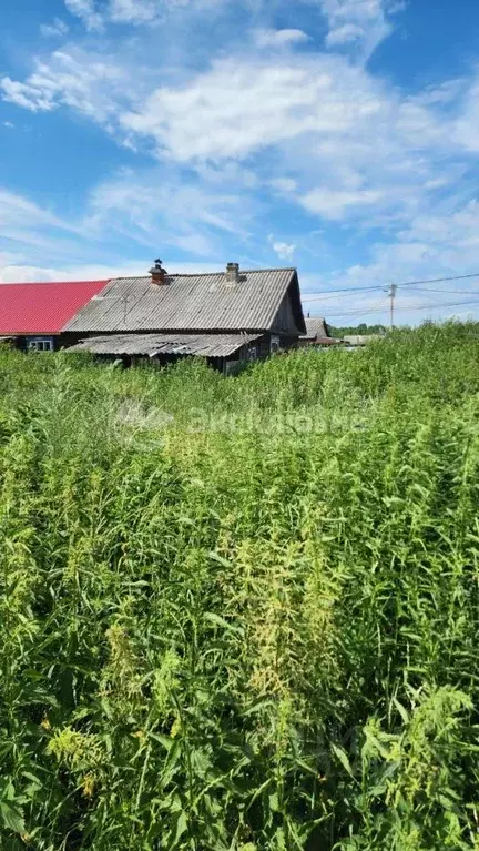 Дом в Тюменская область, с. Нижняя Тавда ул. Дорожная (46 м) - Фото 2