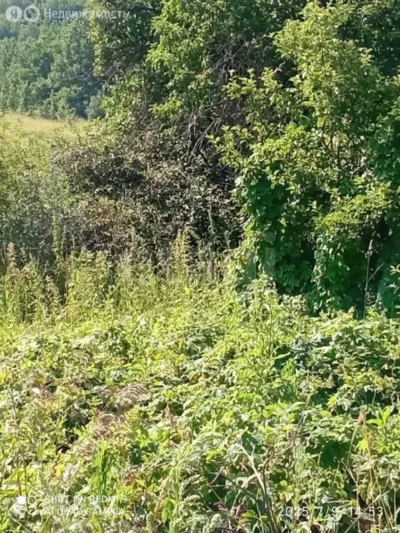 Участок в Лямбирский район, Берсеневское сельское поселение, село ... - Фото 2