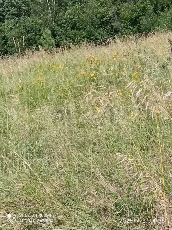 Участок в Мордовия, Саранск Зеленый Друг СНТ,  (4.56 сот.) - Фото 2