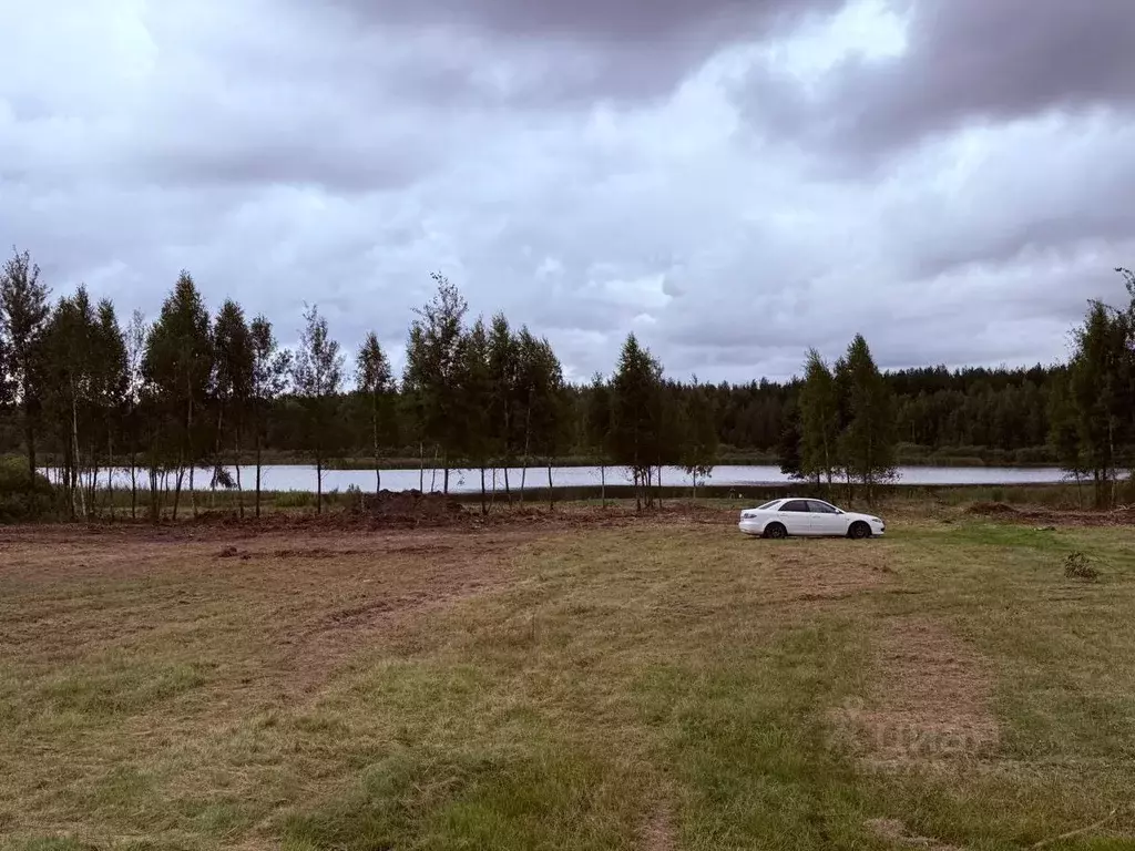 Участок в Московская область, Егорьевск муниципальный округ, д. ... - Фото 2