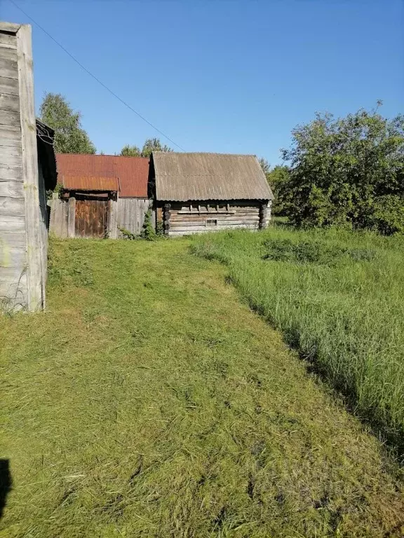 Дом в Пензенская область, Шемышейский район, с. Армиево ул. Ленина (35 ... - Фото 1