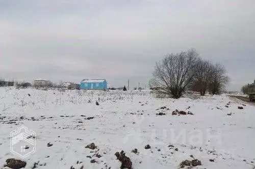 Участок в Новгородская область, Новгородский район, Савинское с/пос, ... - Фото 2