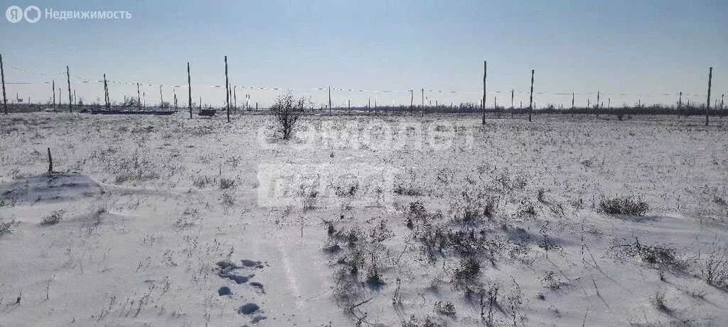 Участок в Волгодонск, Орловская улица, 12 (12 м) - Фото 1