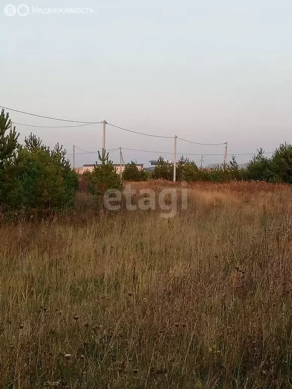 Участок в Курганская область, Шадринский муниципальный округ, село ... - Фото 0