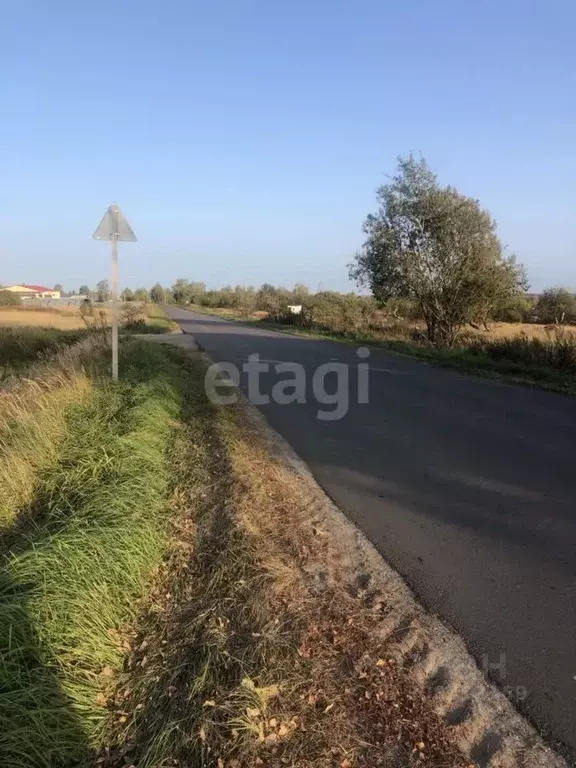 Участок в Брянская область, Брянский район, Глинищевское с/пос, с. ... - Фото 1
