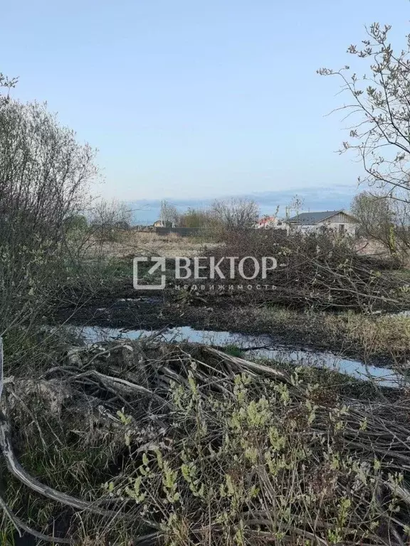 Участок в Ивановская область, Ивановский район, Коляновское с/пос, д. ... - Фото 2