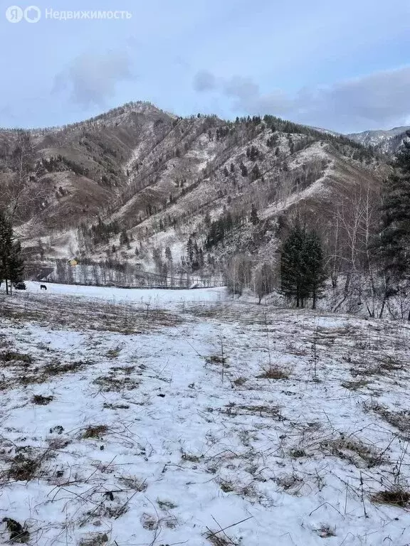 Участок в Чемальский район, село Уожан (450 м) - Фото 1