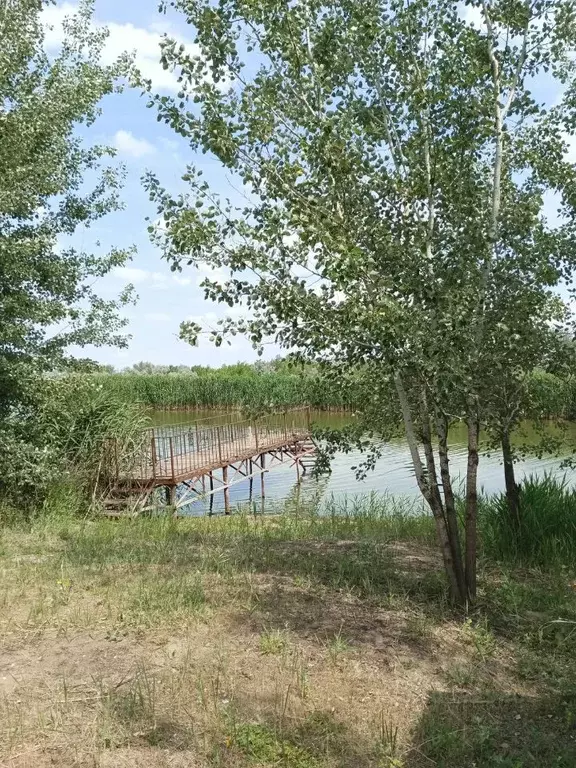 Дом в Саратовская область, Энгельсский район, Красноярское ... - Фото 1