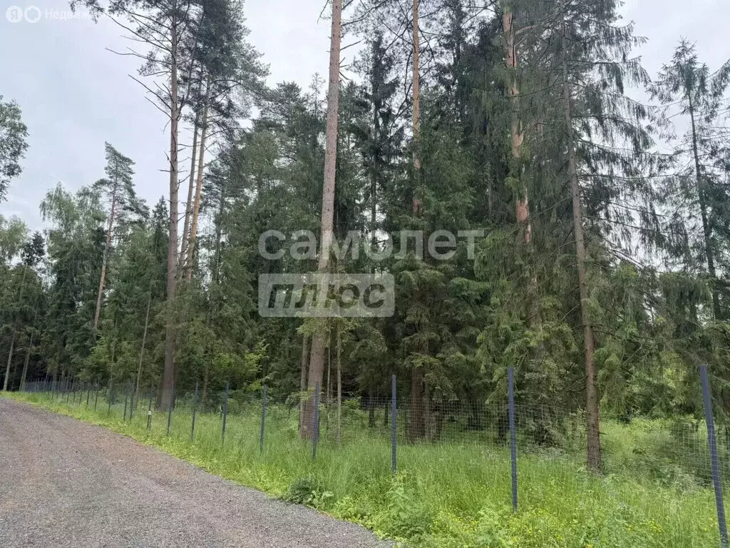 Участок в Московская область, городской округ Солнечногорск, КП ... - Фото 1
