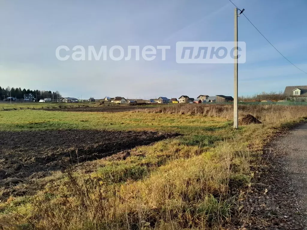 Участок в Вологодская область, Шекснинский муниципальный округ, д. ... - Фото 1