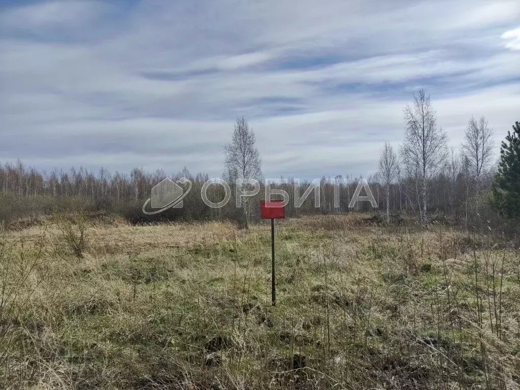 Участок в Тюменская область, Тюменский район, Восход СНТ  (11.0 сот.) - Фото 0