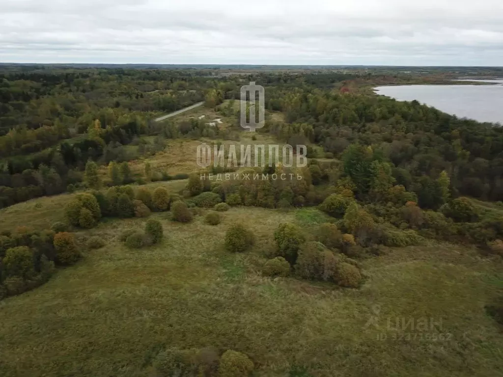 Участок в Новгородская область, Боровичский район, Железковское с/пос, ... - Фото 2