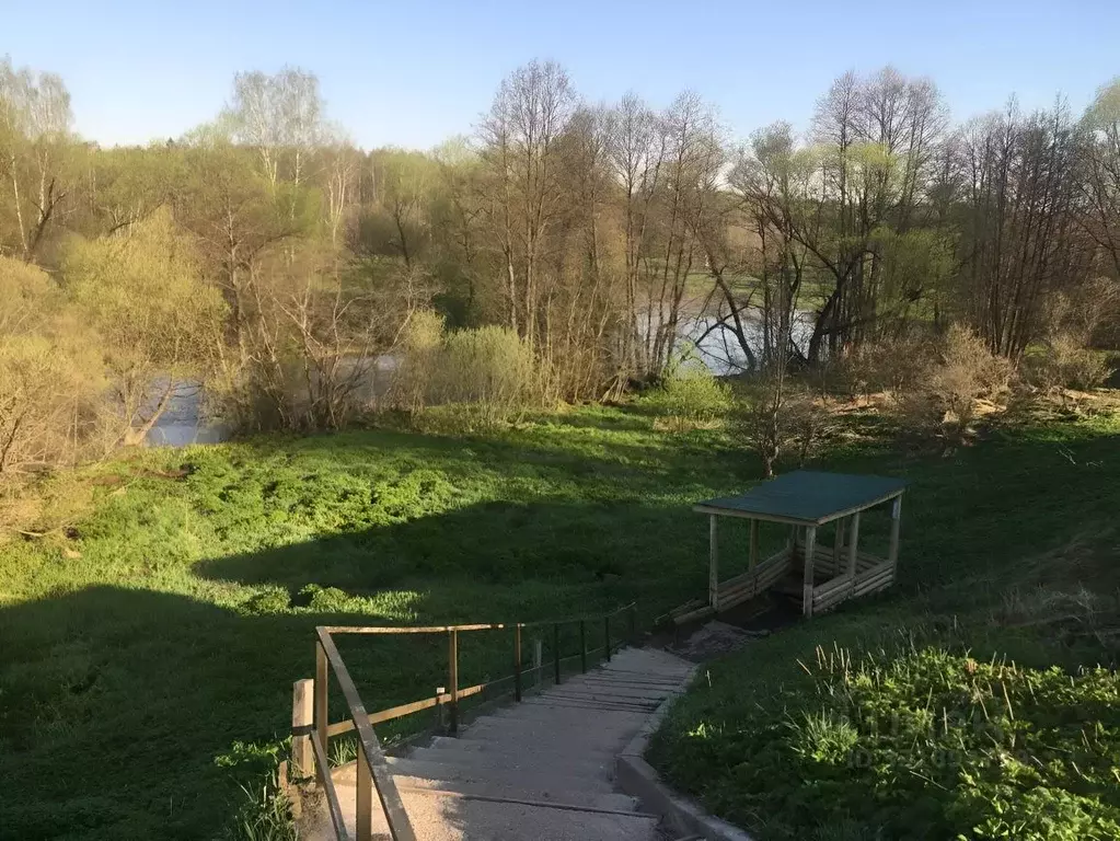 Участок в Московская область, Богородский городской округ, д. Кабаново ... - Фото 1