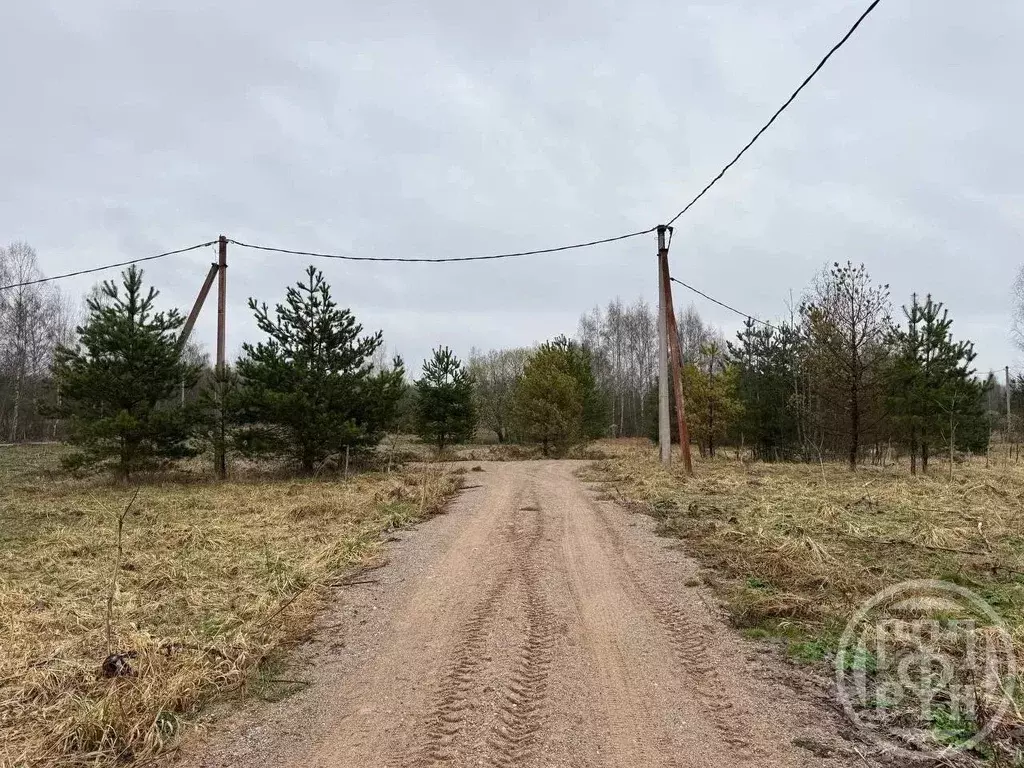 Участок в Ленинградская область, Лужский район, Скребловское с/пос, д. ... - Фото 2