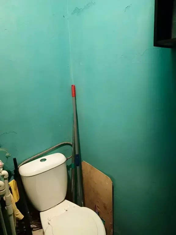 2-к кв. Новосибирская область, Искитимский район, Линево городское ... - Фото 1