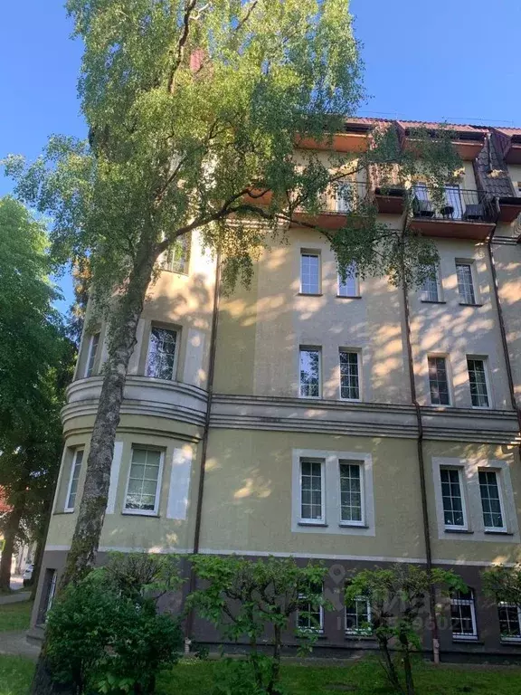 Помещение свободного назначения в Калининградская область, Светлогорск ... - Фото 0