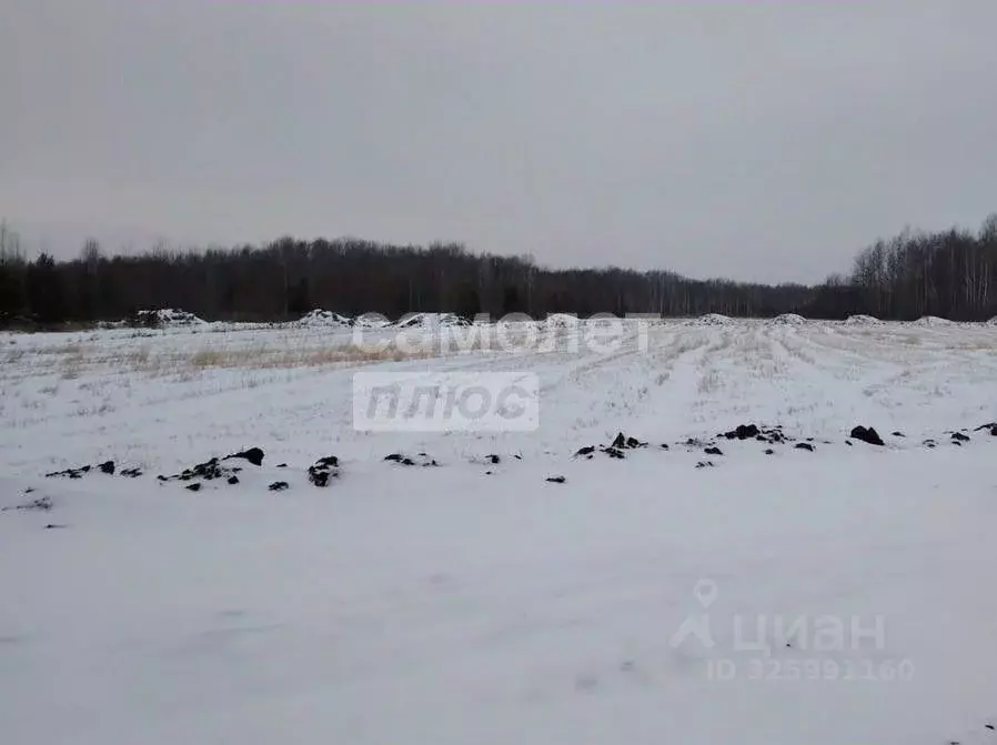 Участок в Тюменская область, Тюменский муниципальный округ, ... - Фото 2