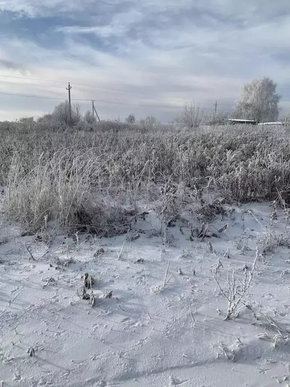 Участок в Тульская область, Тула муниципальное образование, с. ... - Фото 1