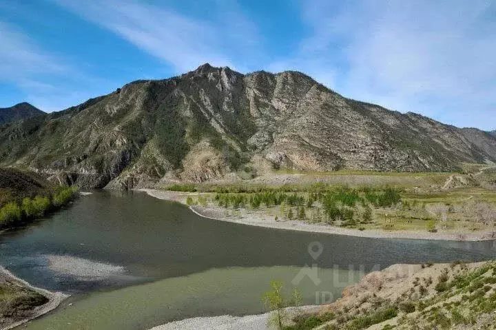 Участок в Алтай, Онгудайский район, с. Иня  (200.0 сот.) - Фото 1