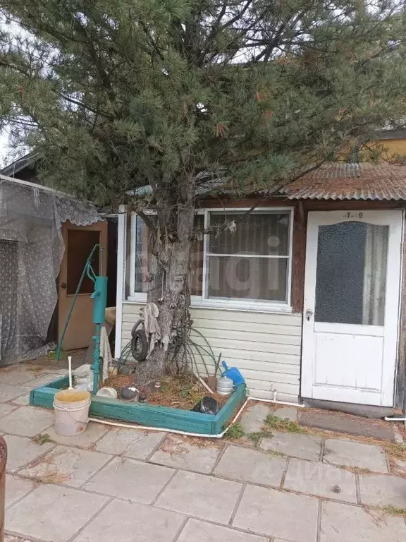 Дом в Еврейская автономная область, Смидовичский район, Вишенка СНТ  ... - Фото 2