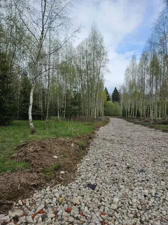 Участок, 7 сот., сельхоз (снт или днп) - Фото 1