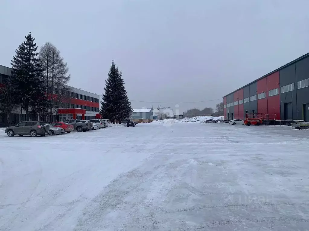 Помещение свободного назначения в Новосибирская область, Новосибирск ... - Фото 1