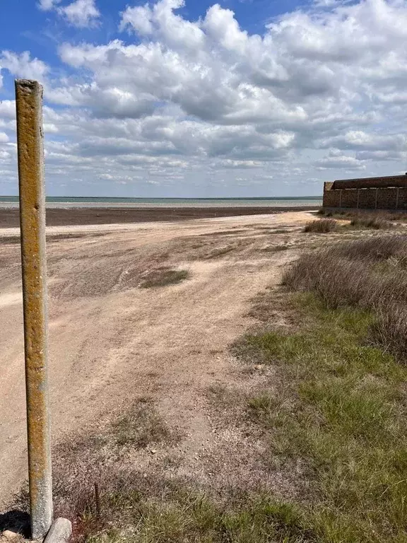 Участок в Крым, Черноморский район, с. Межводное ул. Пограничная (10.0 ... - Фото 0