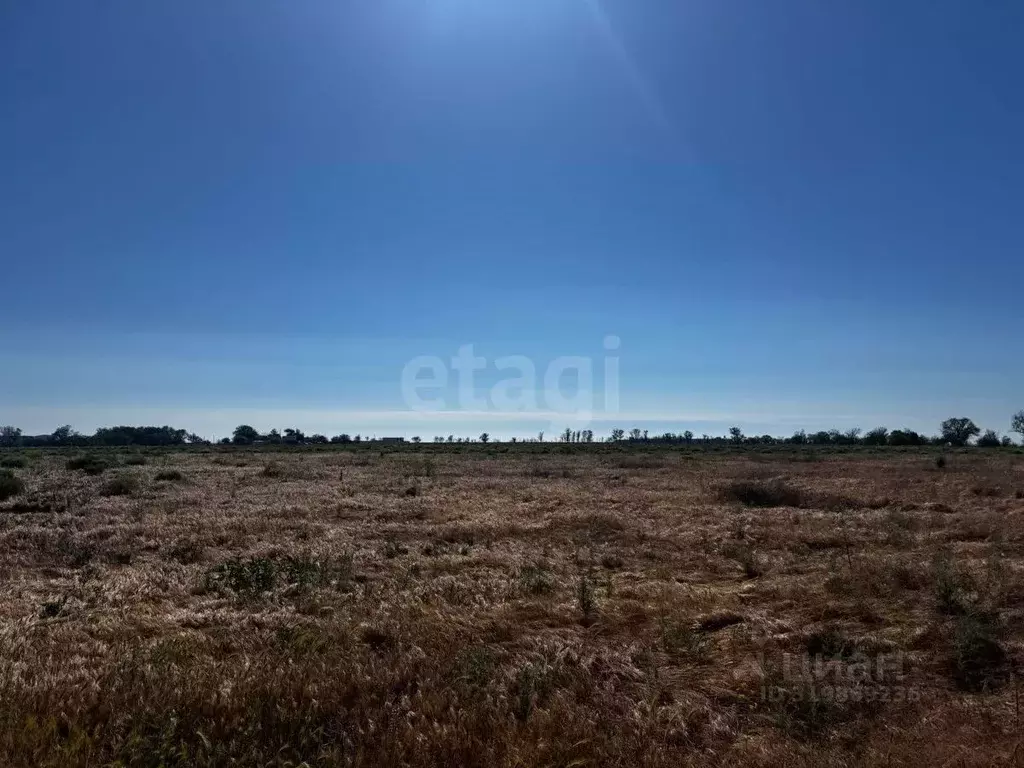 Участок в Крым, Симферопольский район, Николаевка пгт ул. Советская ... - Фото 0