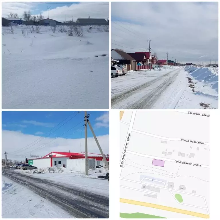 Участок в Омская область, Омский район муниципальный округ, с. Дружино ... - Фото 1