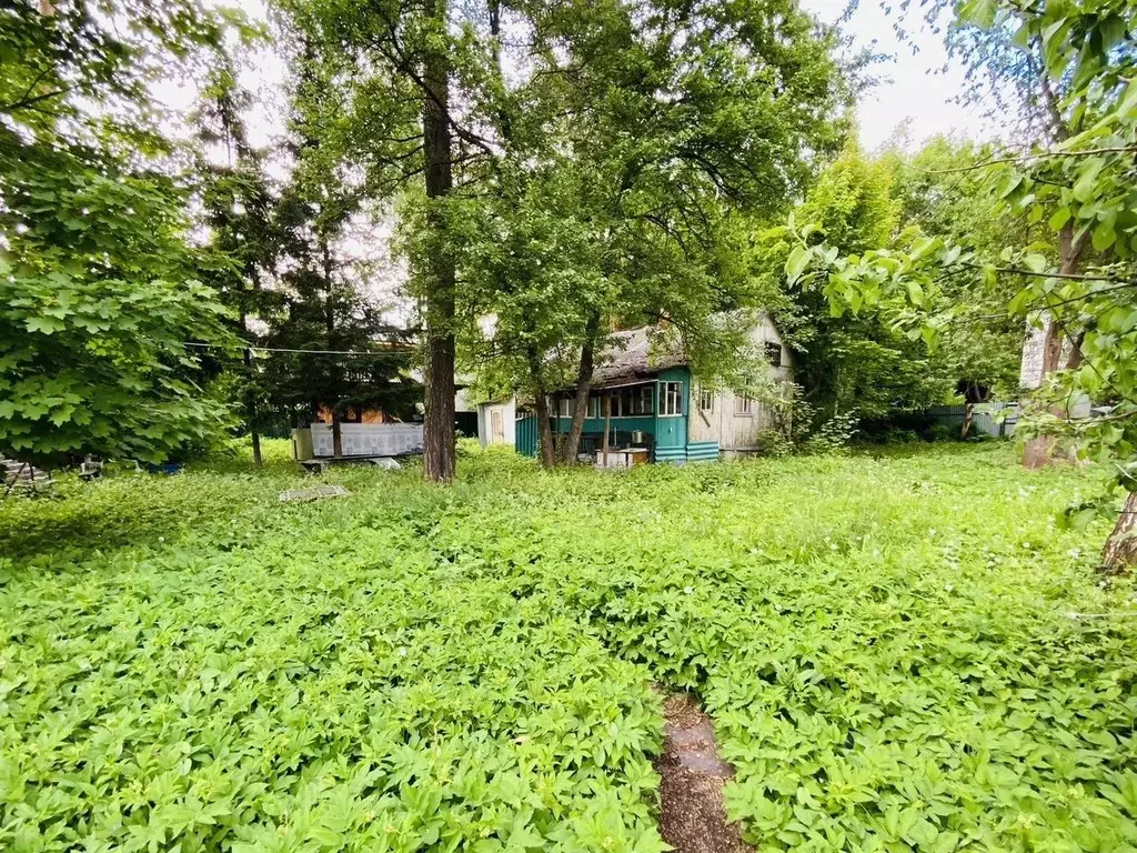 Участок в Московская область, Щелково городской округ, Загорянский пгт ... - Фото 1