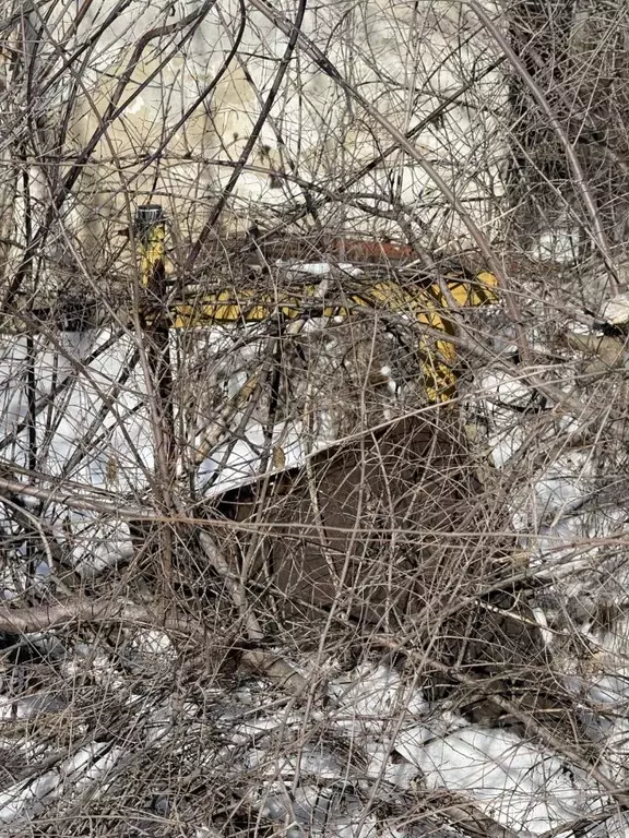 Участок в Волгоградская область, Калачевский район, Ляпичевское с/пос, ... - Фото 1