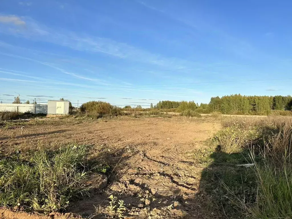 Участок в Новгородская область, Новгородский район, Савинское с/пос, ... - Фото 0