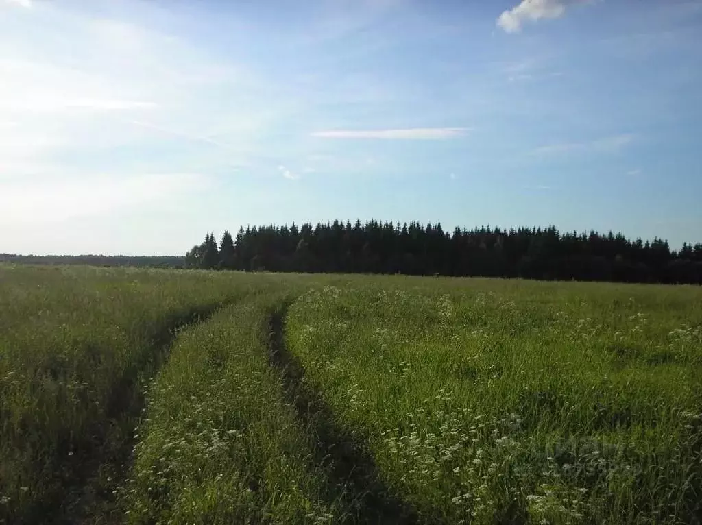 Участок в Тверская область, Калининский муниципальный округ, д. ... - Фото 1