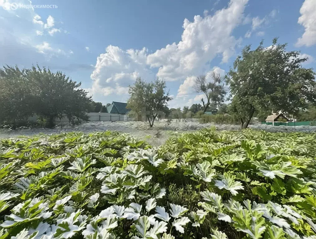 Участок в Москва, ТАО, район Вороново, деревня Ворсино (10 м) - Фото 1