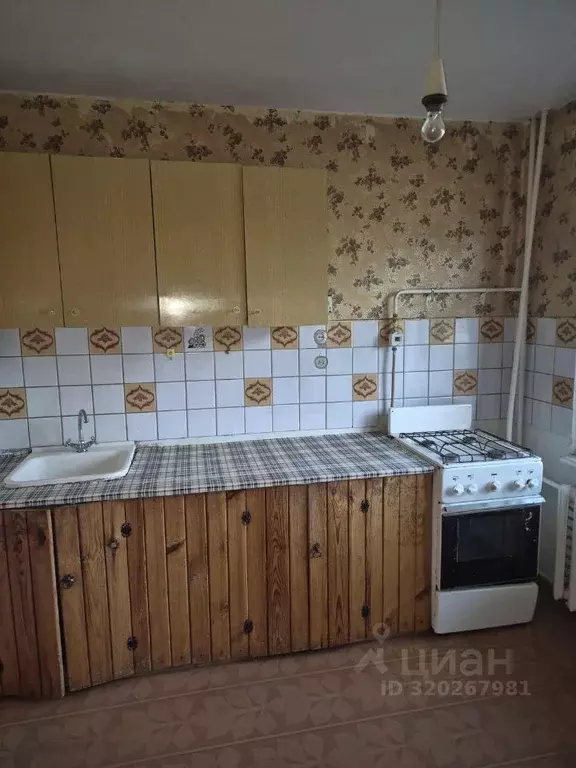 1-к кв. Костромская область, Костромской район, Кузьмищенское с/пос, ... - Фото 2