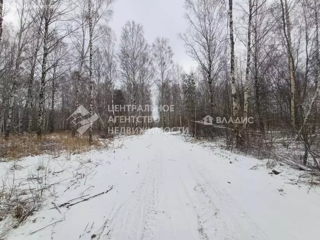 Участок в Рязанская область, Клепиковский муниципальный округ, деревня ... - Фото 1