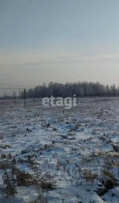 Участок в Новосибирская область, Новосибирский район, Криводановский ... - Фото 1