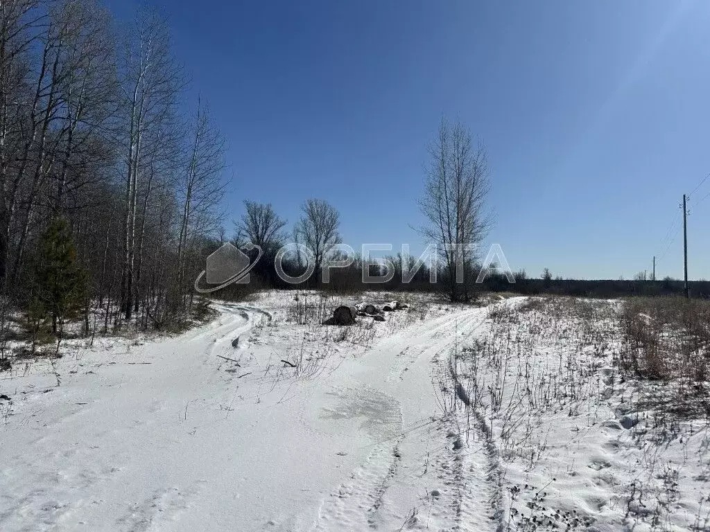 Участок в Тюменская область, Тюменский район, с. Онохино  (189.56 ... - Фото 0