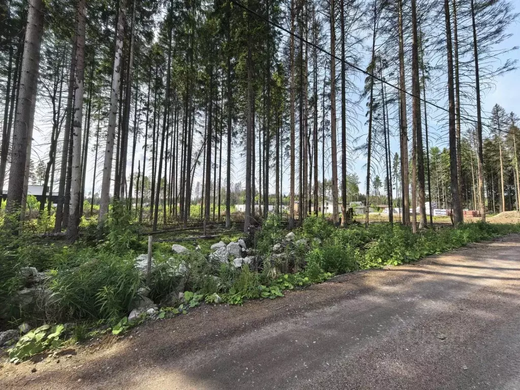 Участок в Ленинградская область, Сертолово Всеволожский район, Медное ... - Фото 0