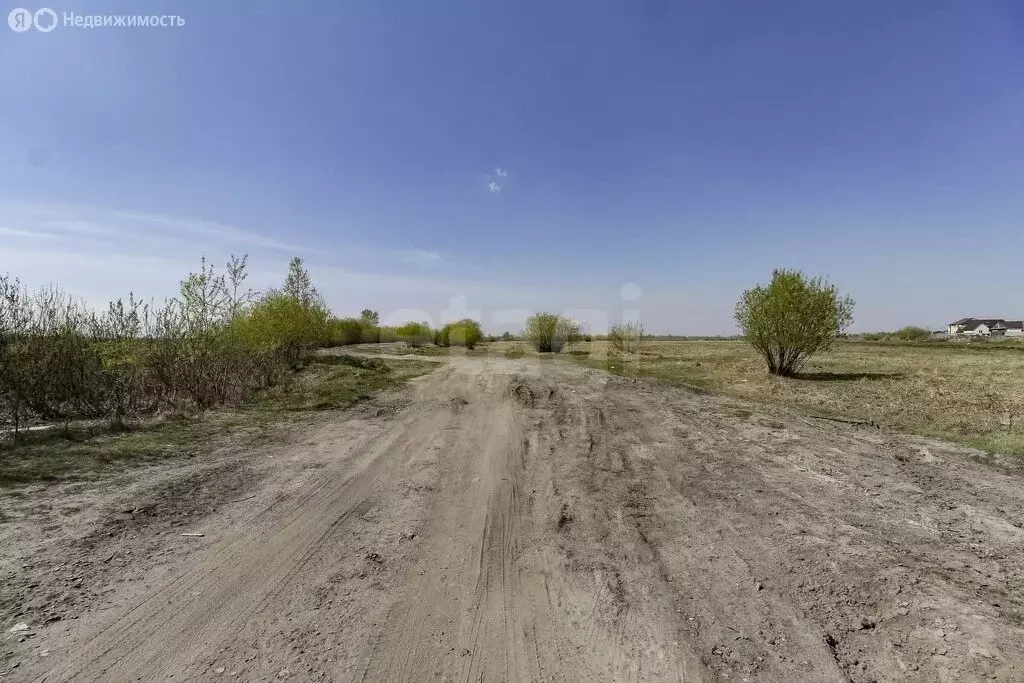 Участок в Тюменский муниципальный округ, деревня Паренкина, Покровская ... - Фото 2