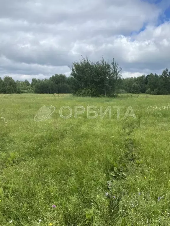 Участок в Тюменская область, Тюмень Поле Чудес садовое товарищество, ... - Фото 1