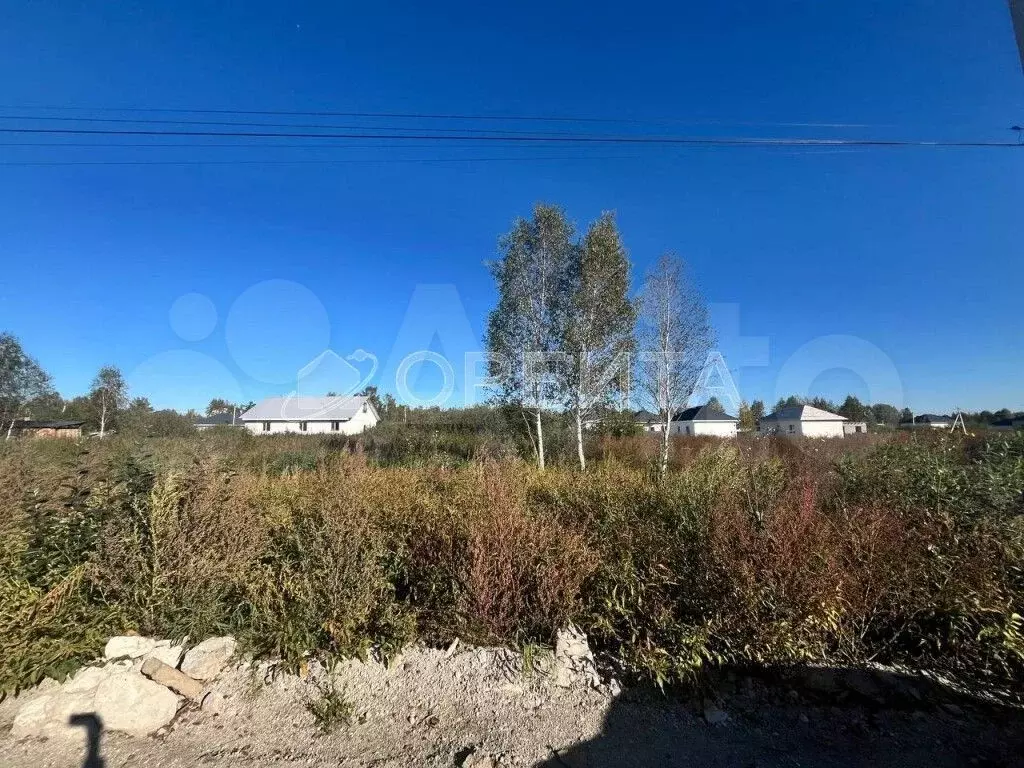 Участок 10 сот. (СНТ, ДНП) - Фото 0