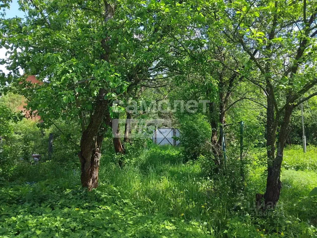 Участок в Москва д. Расторопово, Дубрава СНТ, 10 (6.5 сот.) - Фото 1