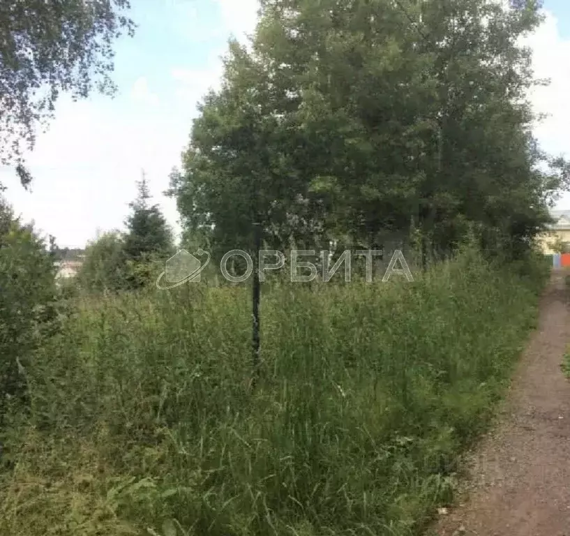 Участок в Тюменская область, Тюмень Велижанский тракт, 7-й км, 8 (7.5 ... - Фото 1