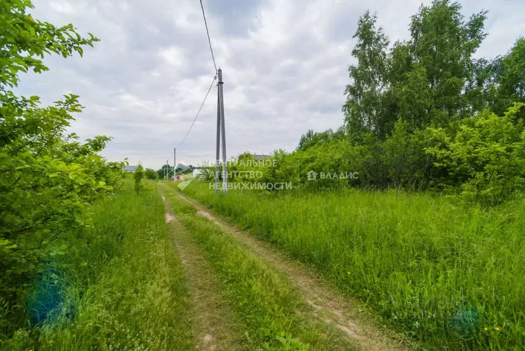 Участок в Рязанская область, Рыбновский муниципальный округ, с. ... - Фото 2