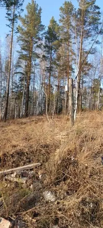 Участок в Иркутская область, Иркутский муниципальный округ, Маркова рп ... - Фото 2